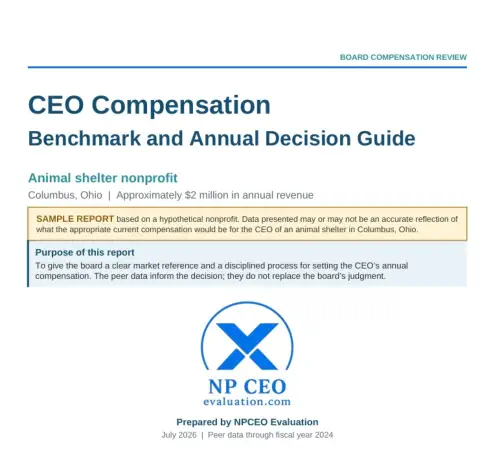 CEO Compensation Sample NP CEO