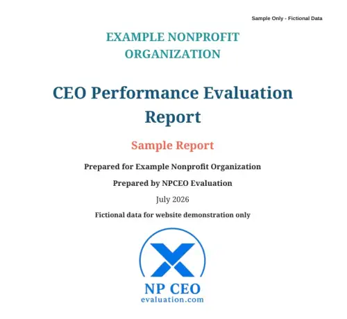 CEO Performance Evaluation Sample NP CEO